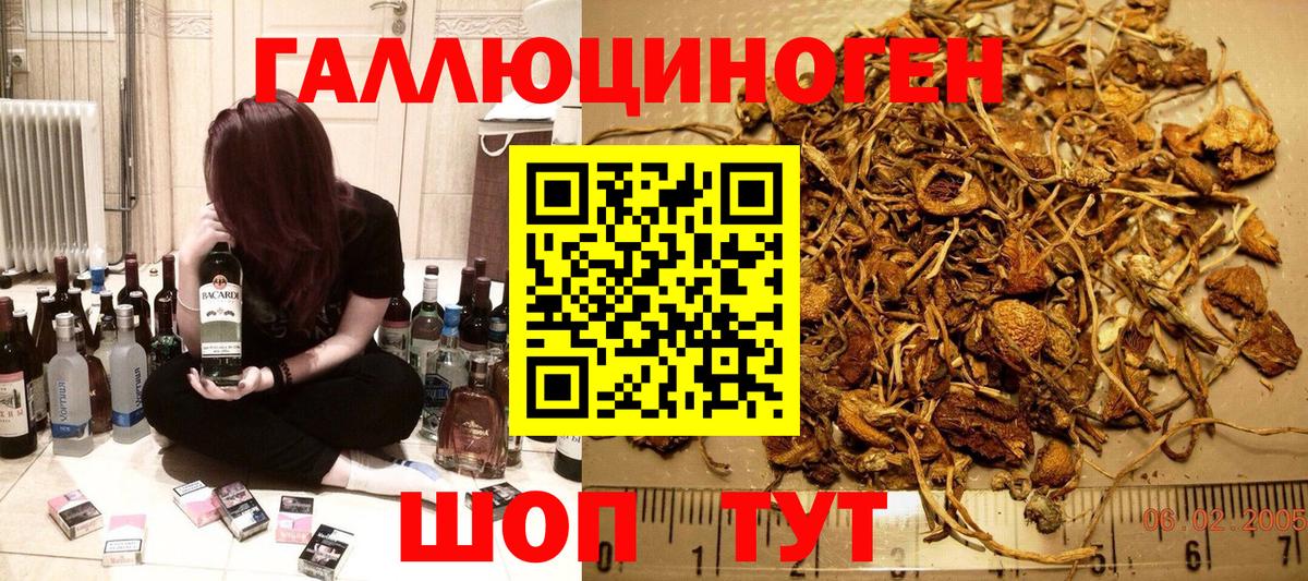 Галлюциногенные грибы GOLDEN TEACHER Петропавловск-Камчатский