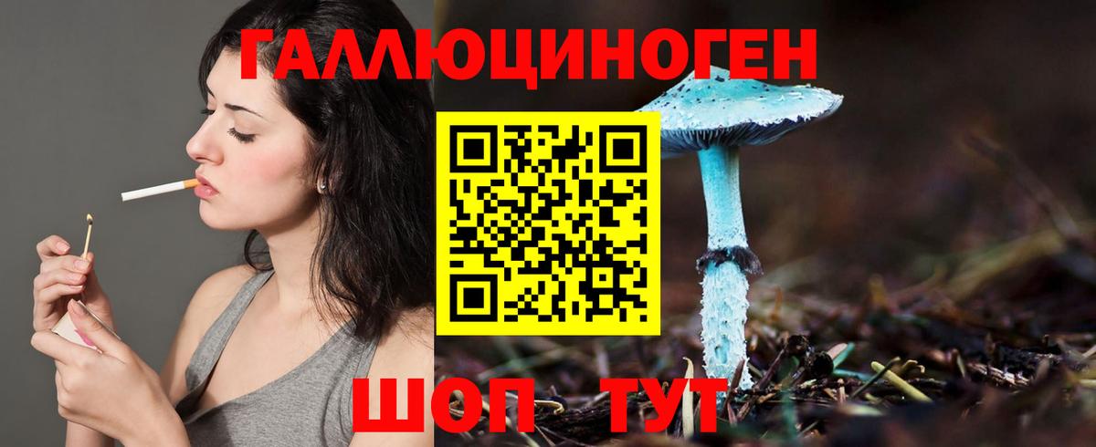 Галлюциногенные грибы Psilocybe  хочу наркоту  Петропавловск-Камчатский  Вход с VPN 